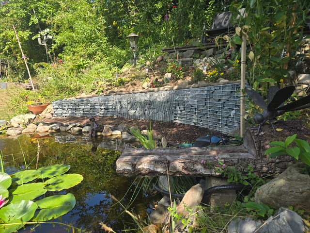 Gebogene Gabionenwand mit unterschiedlichen Höhen für einen Gartenteich