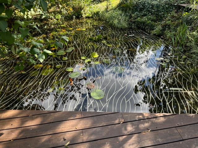 Teichgitter in Wellenform, wenige Zentimeter unter der Wasseroberfläche eingebaut